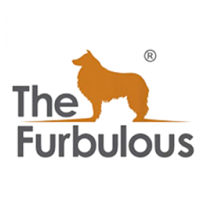 DT Pet Supplies